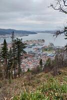 mit Blick auf bergen Hafen von Hang foto