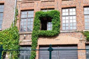 Efeu gekleidet Fenster auf historisch Backstein Mauer foto