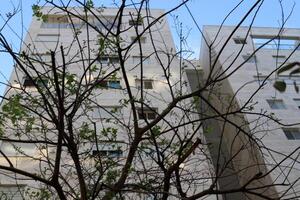 Gebäude und Strukturen im tel aviv gegen das Hintergrund von Geäst und Blätter von hoch Bäume. foto