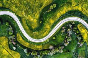 Straße Ausflug durch Land Straßen, umgeben durch Felder von von der Sonne geküsst Pflanzen im das Höhe von Sommer- foto