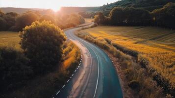 Straße Ausflug durch Land Straßen, umgeben durch Felder von von der Sonne geküsst Pflanzen im das Höhe von Sommer- foto