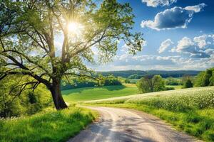 Straße Ausflug durch Land Straßen, umgeben durch Felder von von der Sonne geküsst Pflanzen im das Höhe von Sommer- foto