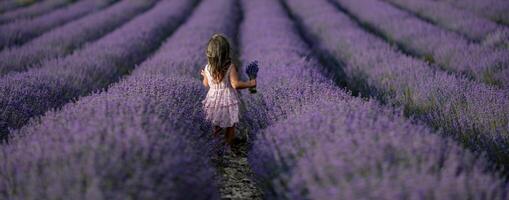 Lavendel Feld Mädchen Banner. zurück Aussicht glücklich Mädchen im Rosa Kleid mit fließend Haar läuft durch ein lila Feld von Lavendel. Aromatherapie Reise foto