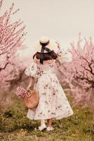 Frau Blühen Pfirsich Obstgarten. gegen das Hintergrund von ein malerisch Pfirsich Obstgarten, ein Frau im ein lange Kleid und Hut genießt ein friedlich gehen im das Park, umgeben durch das Schönheit von Natur. foto