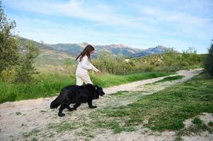 bezaubernd kaukasisch Kind Mädchen Gehen ihr Stammbaum Hund, ein schwarz reinrassig Cocker Spaniel im das Hügel Berge Natur draußen auf ein sonnig Tag. Personen. Natur und spielen Haustiere Konzept foto