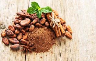 Kakaopulver und Bohnen