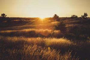 Sonnenuntergang auf dem Berg foto