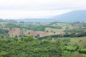 Antenne Aussicht Landschaft von Plantage Bereich und Grün Bäume auf kompliziert Hügel im nan Provinz, Nord von Thailand. foto