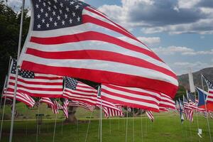 amerikanisch Flaggen angezeigt im öffnen Feld, Kalifornien Küste Inspirationen foto