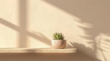 Haus Anlage, Kaktus, saftig im ein Topf auf ein hölzern Regal, Tischplatte. Vordergrund. Tageslicht, mit ein Schatten von ein Fenster auf das Wand, neutral Pfirsich Farbe. Kopieren Raum, Layout foto