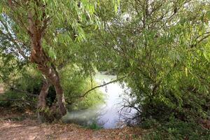 ein afek Natur Reservieren im Nord Israel. Feuchtgebiet mit ein Fülle von Tiere und zugänglich Wanderwege foto