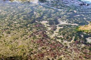 das Farbe von Wasser im das Mittelmeer Meer im flach Wasser. natürlich abstrakt Hintergrund. foto