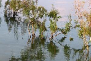 See Kinneret. das Sees Küste ist das am niedrigsten Landmasse auf Erde foto
