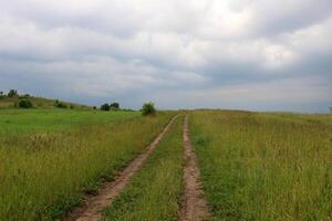 schön Landschaft von makellos Natur. foto