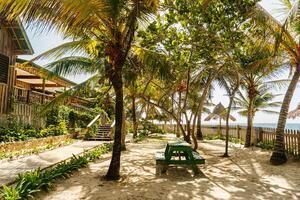 guaja Insel, Honduras. natura Reise Konzept. foto