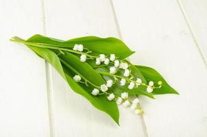 kleiner Strauß blühender Maiglöckchen mit weißen Blüten. foto