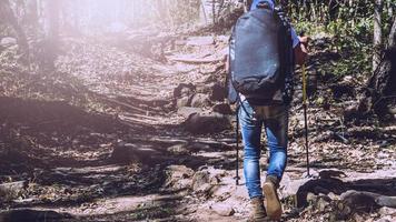 asiatischer mann reisen fotografie natur. Reisen entspannen im Urlaub Spaziergang im Wald. Reisen entspannen im Urlaub. Thailand foto