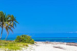 tropische mexikanische strand cenote punta esmeralda playa del carmen mexiko. foto
