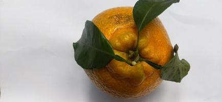 Foto von kernlosen süßen Orangen aus Japan