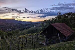 schön dramatisch Sonnenuntergang Landschaft beim Weinberge im Klenice, Kroatien, hrvatsko Zagorje, Natur Hintergrund foto