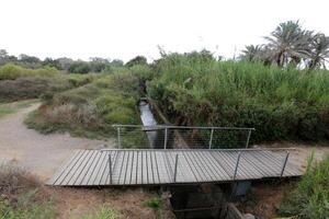 ein afek Natur Reservieren im Nord Israel. Feuchtgebiet mit ein Fülle von Tiere und zugänglich Wanderwege foto
