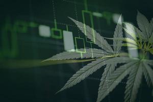 Cannabis-Geschäft mit Marihuana-Blättern und Aktiendiagrammen zu Börsenhandelsanalyse-Investitionen, kommerziellem Cannabis-Medizin-Geld, höherwertigen Finanzen und Handelsgewinn-Aufwärtstrends