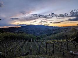 schön dramatisch Sonnenuntergang Landschaft beim Weinberge im Klenice, Kroatien, hrvatsko Zagorje, Natur Hintergrund foto