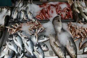 Meeresfrüchte ist verkauft beim ein Basar im Israel. foto