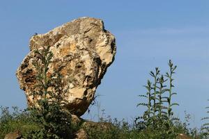 Steine im ein Stadt Park auf das Ufer von das Mittelmeer Meer. foto