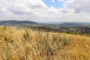 schön Landschaft von makellos Natur. foto