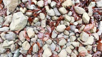 graue abgerundete Steine mit abgefallenen Blättern Nahaufnahme. Nahaufnahme bunte Steine auf dem Boden mit trockenem Blatt und etwas Wolle. Musterstein. Naturstein auf dem Boden.