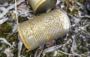 rostig können im Natur foto