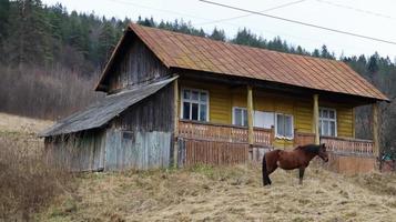 braunes Pferd in der Nähe eines alten Dorfhauses aus Holz. In der Nähe gibt es einen schönen Wald und Berge. Ukraine, Jaremtsche - 20. November 2019