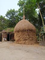 groß Stapel von trocken Reis Stroh, Haufen von Lager Paddy Stroh, Stapel von Stroh nach Ernte Reis auf Land Straße, trocken Heuhaufen zum das Vieh Futter foto