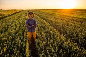 afrikanisch Farmer ist Stehen im seine wachsend Weizen Feld. er ist zufrieden mit Fortschritt von Pflanzen. foto