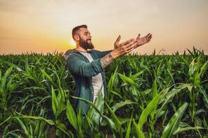 Porträt von Farmer Wer ist kultivieren Mais. er ist zufrieden mit gut Fortschritt von Pflanzen. landwirtschaftlich Beruf. foto