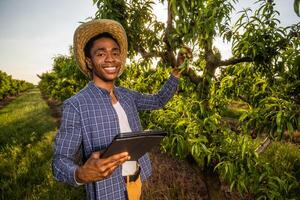 Porträt von Afroamerikaner Farmer im seine Obstgarten. er ist kultivieren Pflaume. foto