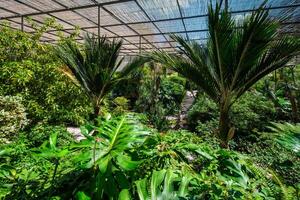 das kalt Haus estufa fria ist ein Gewächshaus mit Gardens, Teiche, Pflanzen und Bäume im Lissabon, Portugal foto