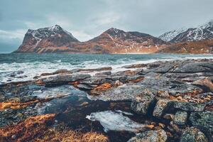 felsig Küste von Fjord im Norwegen foto