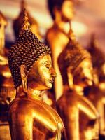 golden Buddha Statuen im Buddhist Tempel foto