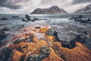 felsig Küste von Fjord im Norwegen foto