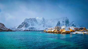 Gelb rorbu Häuser, Lofoten Inseln, Norwegen foto