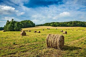 Heu Ballen auf Feld foto