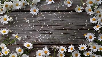 ein Hintergrund von beschwingt Weiß Gänseblümchen verstreut um ein rustikal hölzern Oberfläche. foto