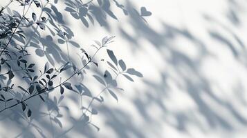 Schatten von Blätter auf Weiß Hintergrund im das Stil von abstrakt Natur. foto