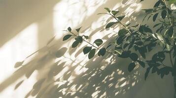 das Schatten von Pflanzen Besetzung auf ein leeren Mauer. foto