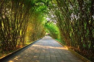 Abonnieren Park. chengdu, Sichuan, China foto