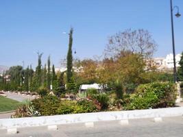 abha, Saudi Arabien, 12 April 2024 - - ein schön Aussicht von Bäume und Gras im ein Park in der Nähe von das berühmt das Kunst Straße im abha, Saudi Arabien. foto