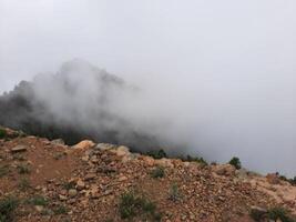 atemberaubend natürlich Schönheit von abha im Saudi Arabien im das Sommer- Jahreszeit. hoch Berge, Grün, niedrig Wolken und Nebel sind das Schönheit von abha. foto