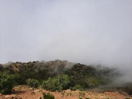 atemberaubend natürlich Schönheit von abha im Saudi Arabien im das Sommer- Jahreszeit. hoch Berge, Grün, niedrig Wolken und Nebel sind das Schönheit von abha. foto